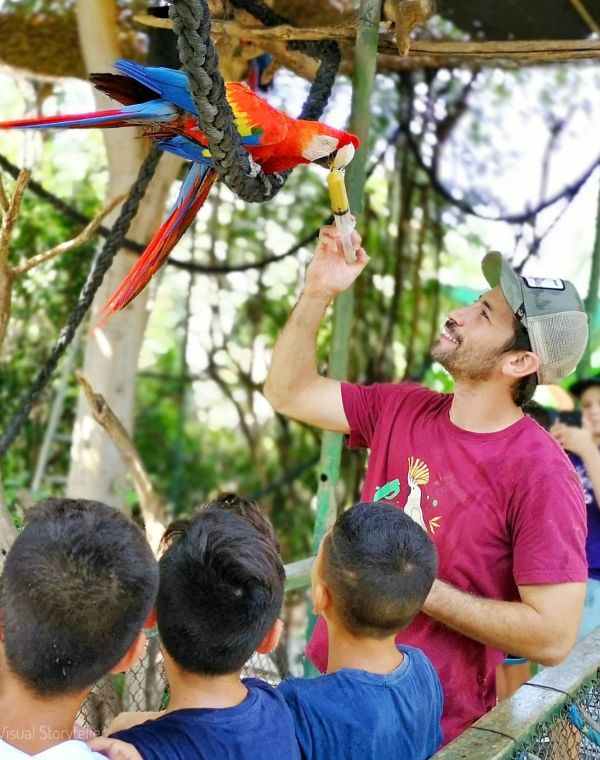 תמונה של ג'ונגל כיף: עושים חיים עם החיות - למטייל בישראל (טיולי)
